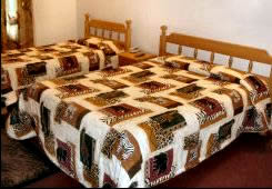 Pedros Lodge Twin Rooms